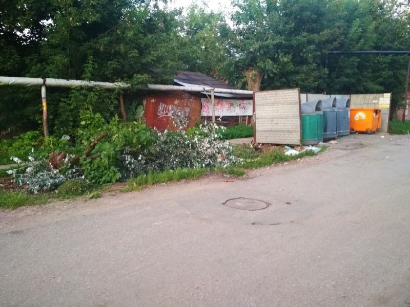 Обращение по вопросу вывоза мусора, скопившегося вокруг контейнеров по ул. 1-ая Лесная.